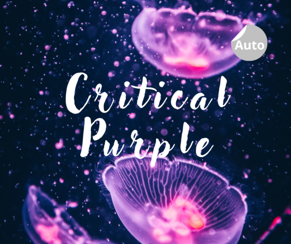 Critical Purple autofloraison